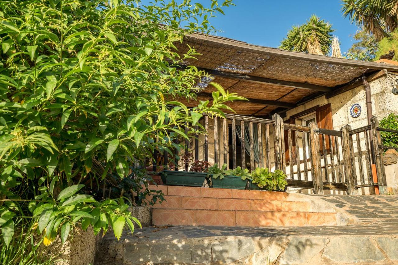 Casitas En El Paraiso Κανδελάρια Εξωτερικό φωτογραφία